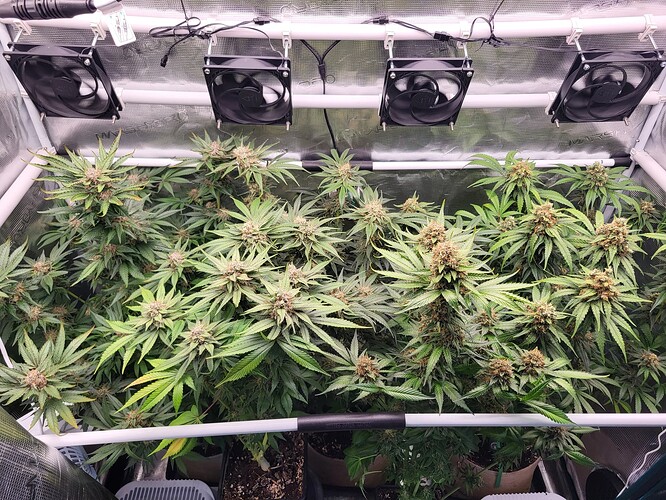 Growreport Bild 1