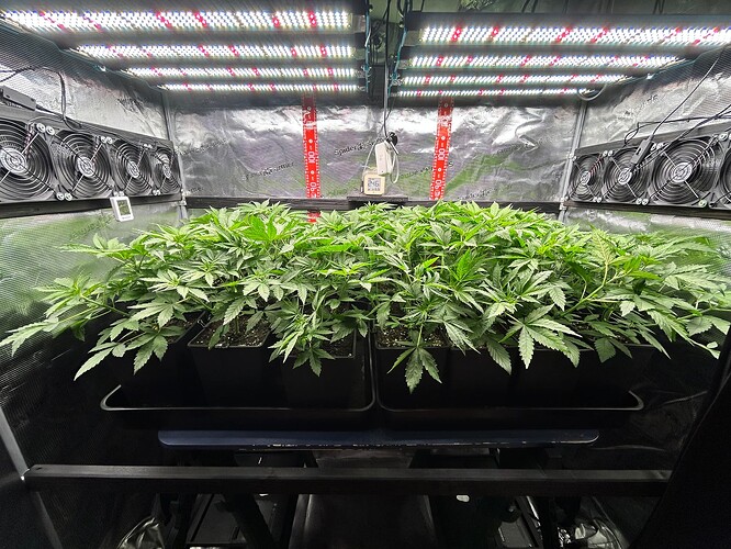 Growreport Bild 11