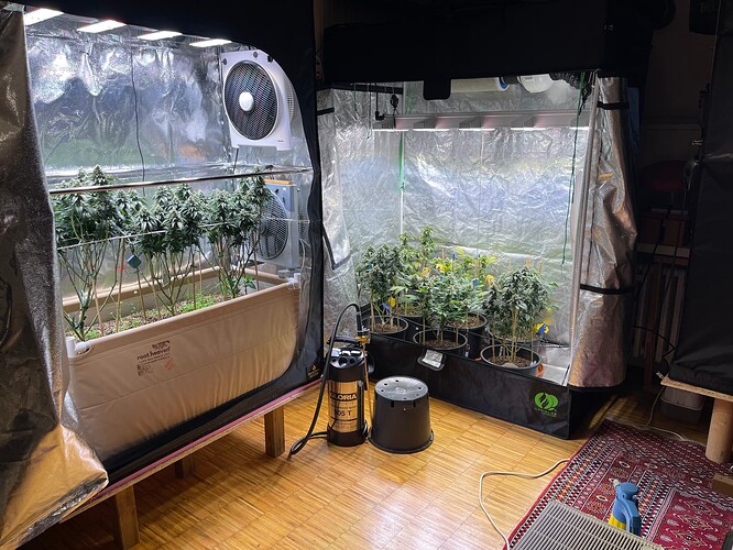 Growreport Bild 7
