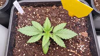 WhatsApp Image 2024-05-07 at 16.06.27 (1)