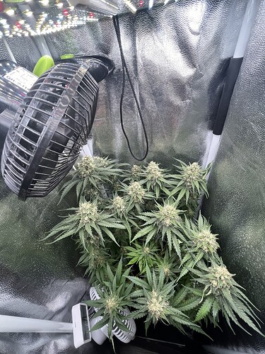 Growreport Bild 1