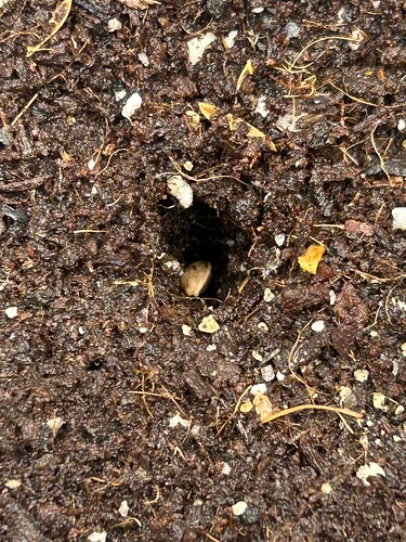Growreport Bild 76