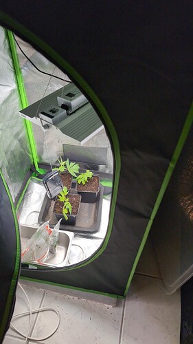IMG-20250403-WA0043