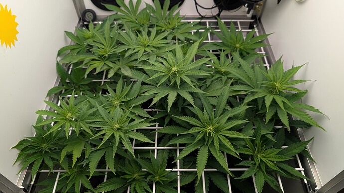 Growreport Bild 9