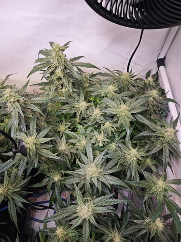 MVIMG_20251105_164457