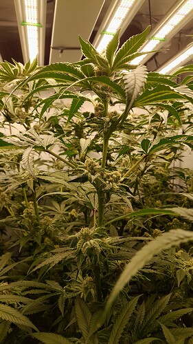 Growreport Bild 10