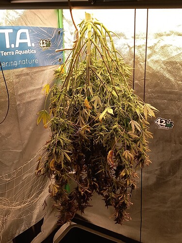 Growreport Bild 5