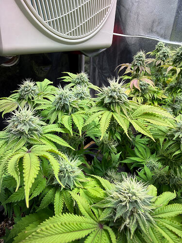 Growreport Bild 14