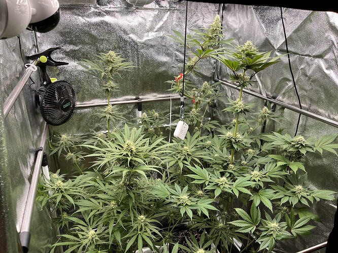 Growreport Bild 5