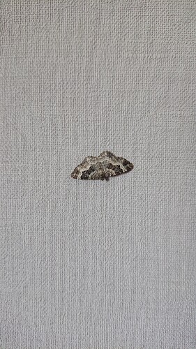 Growreport Bild 31