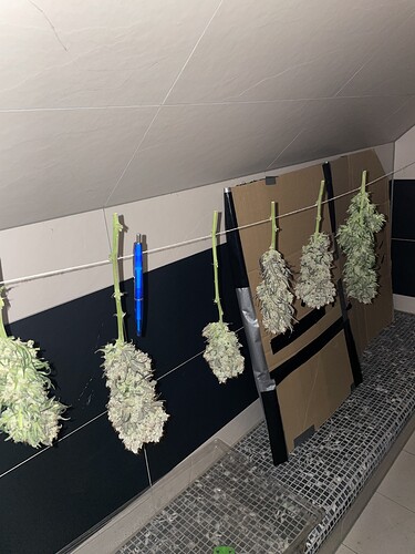 Growreport Bild 20