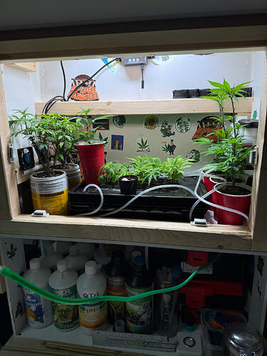 Growreport Bild 44