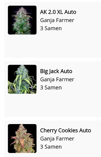 Screenshot_20250128_102537_Chrome