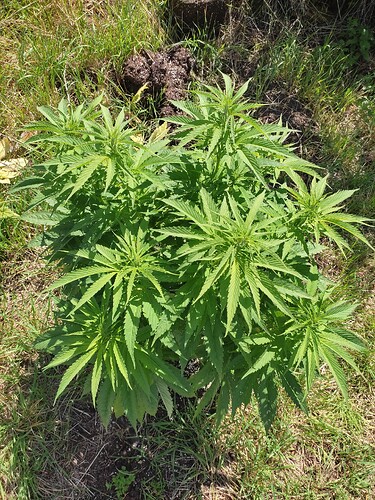 Growreport Bild 23