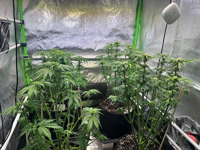Growreport Bild 4