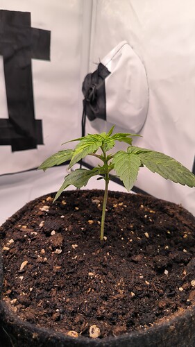 Growreport Bild 16