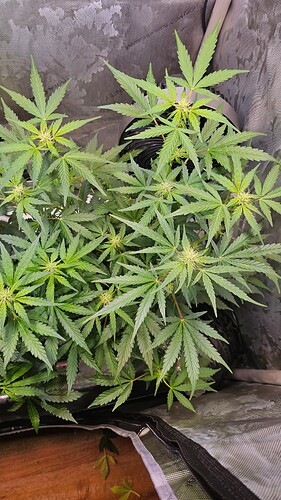 Growreport Bild 21