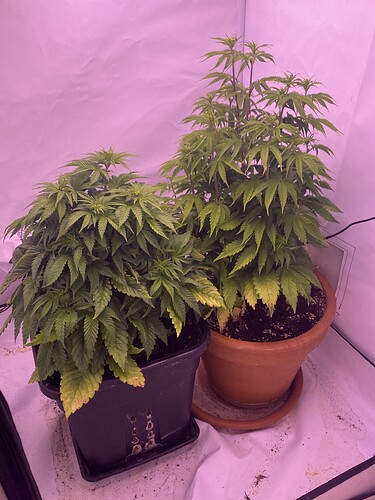 Growreport Bild 9