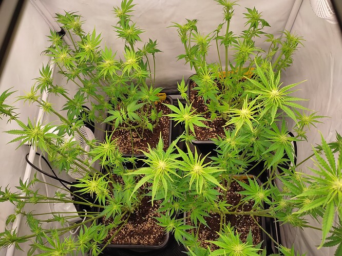 Growreport Bild 17
