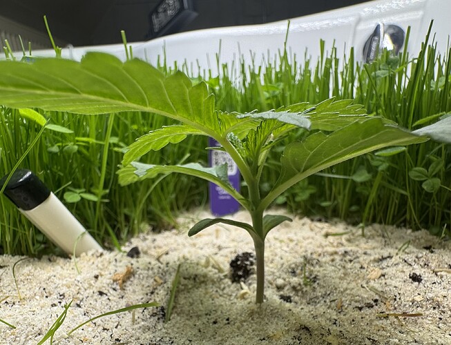Growreport Bild 3