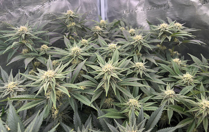 Foto 20.01.26, 16 49 19