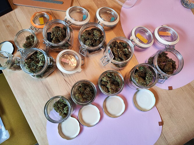 Growreport Bild 2