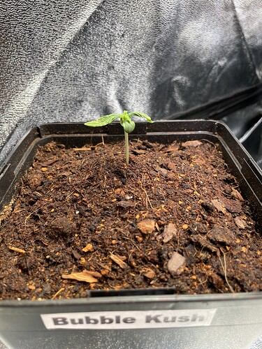 Growreport Bild 13
