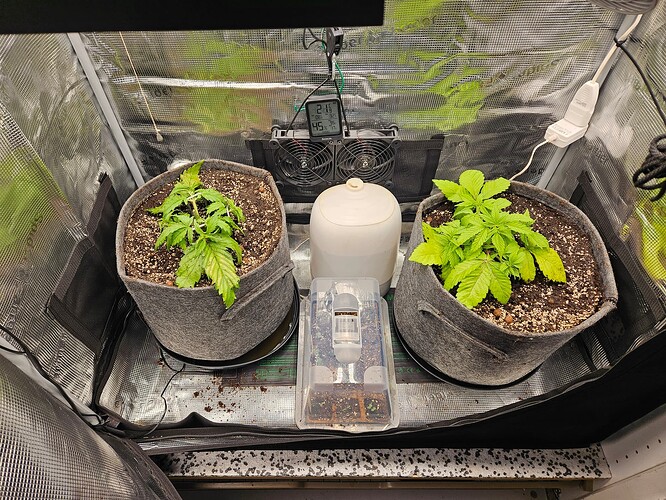 Growreport Bild 29