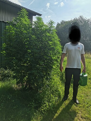 Growreport Bild 7