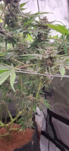 Growreport Bild 23