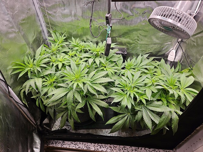 Growreport Bild 12