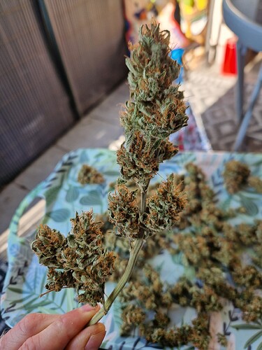 Growreport Bild 14