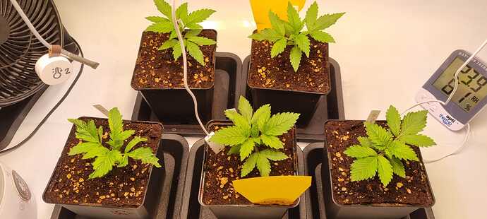 WhatsApp Image 2024-11-06 at 18.30.45 (5)