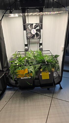 Growreport Bild 1