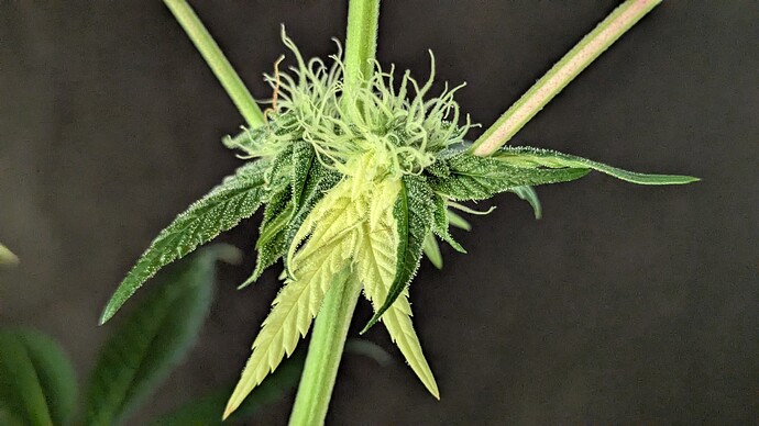 Growreport Bild 8