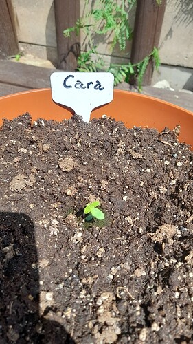 Growreport Bild 40