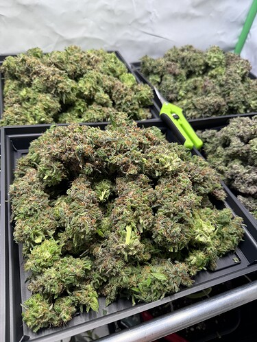Growreport Bild 15