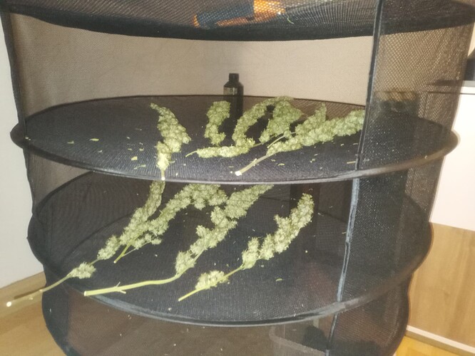 Growreport Bild 43