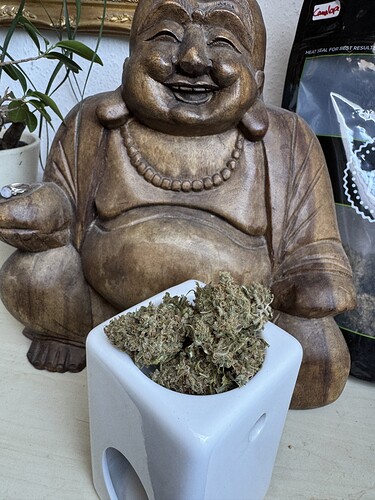 Growreport Bild 4