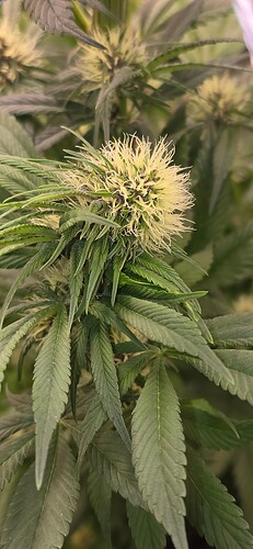 Growreport Bild 2