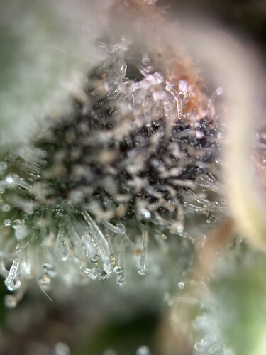 Growreport Bild 14