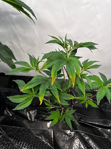 Growreport Bild 11