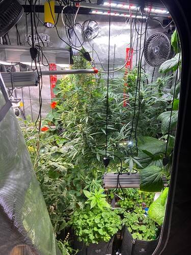 Growreport Bild 25