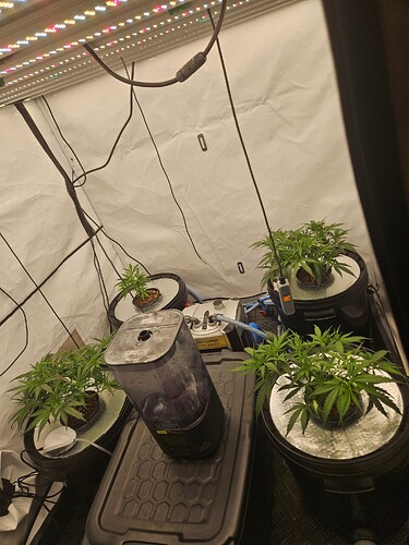 Growreport Bild 5