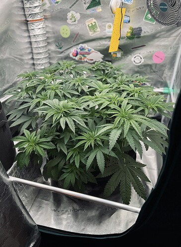 Growreport Bild 11