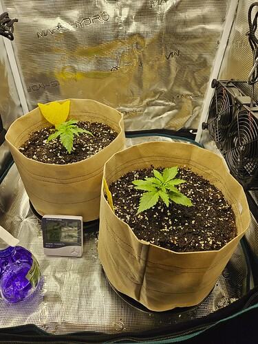 Growreport Bild 18