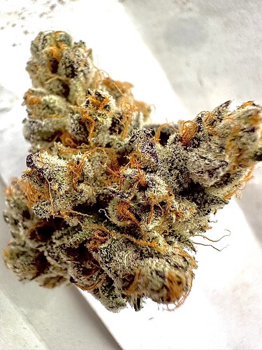 754142738.569144public