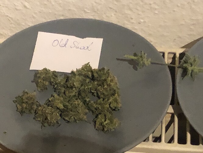 Growreport Bild 4