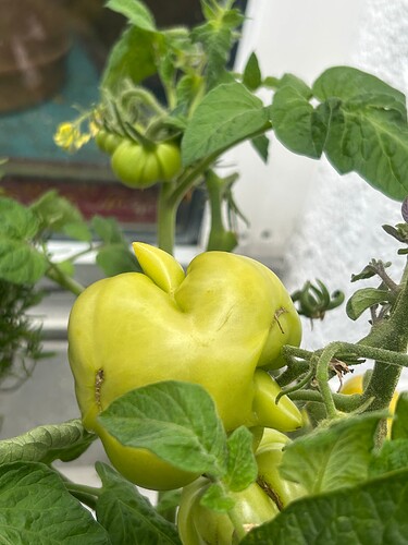 Growreport Bild 2