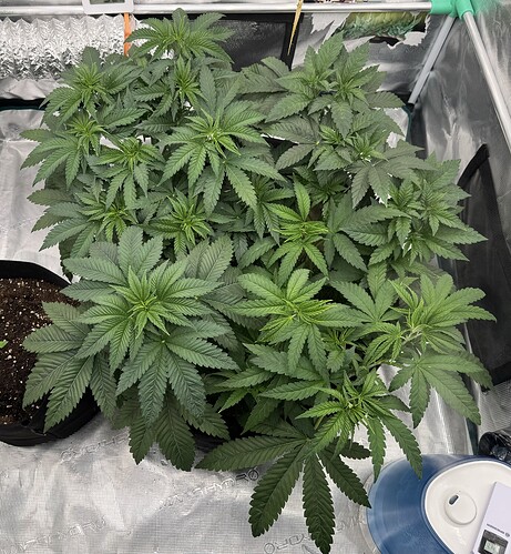 Growreport Bild 11